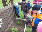 Pěstujeme bylinky na zahrádce